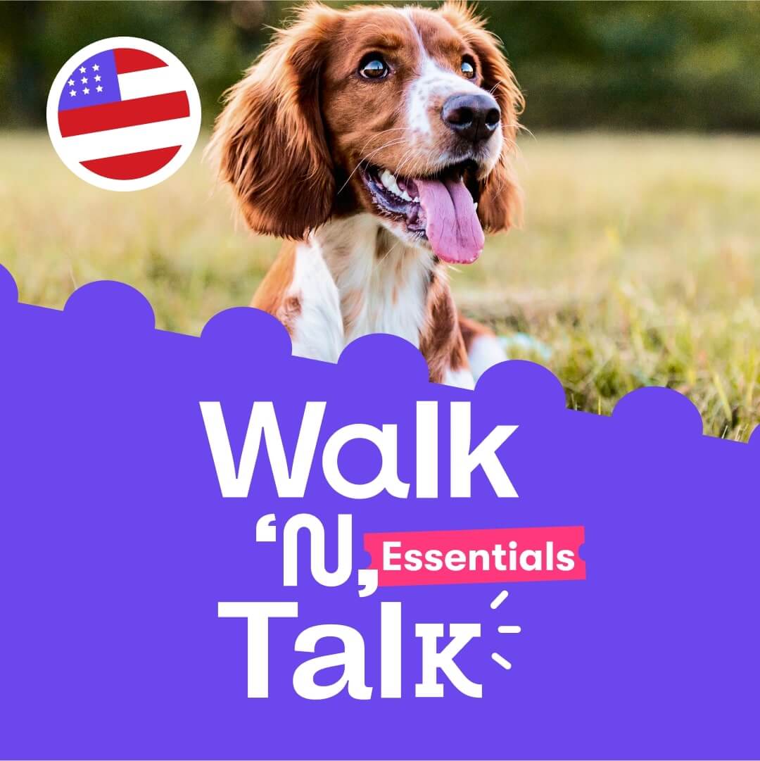 WnT Essentials 54